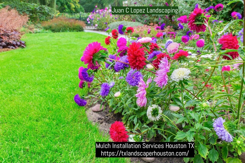 Juan C Lopez Landscaping